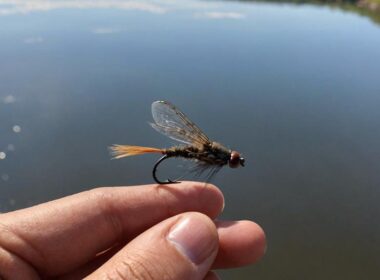 types of fishing flies