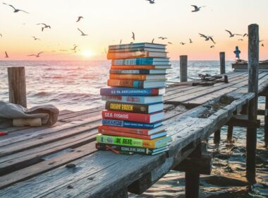 beginner sea bass fishing guides