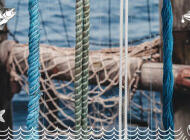 best sea bass fishing lines