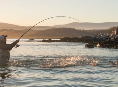 essential sea bass casting techniques