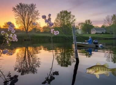 largemouth bass spawn strategies