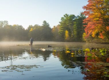 optimal largemouth bass fishing times