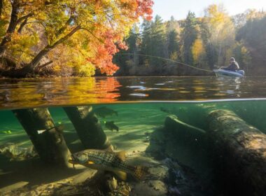 seasonal bass fishing insights